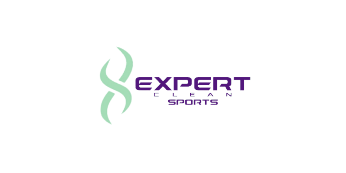 Logo Expert Clean Export