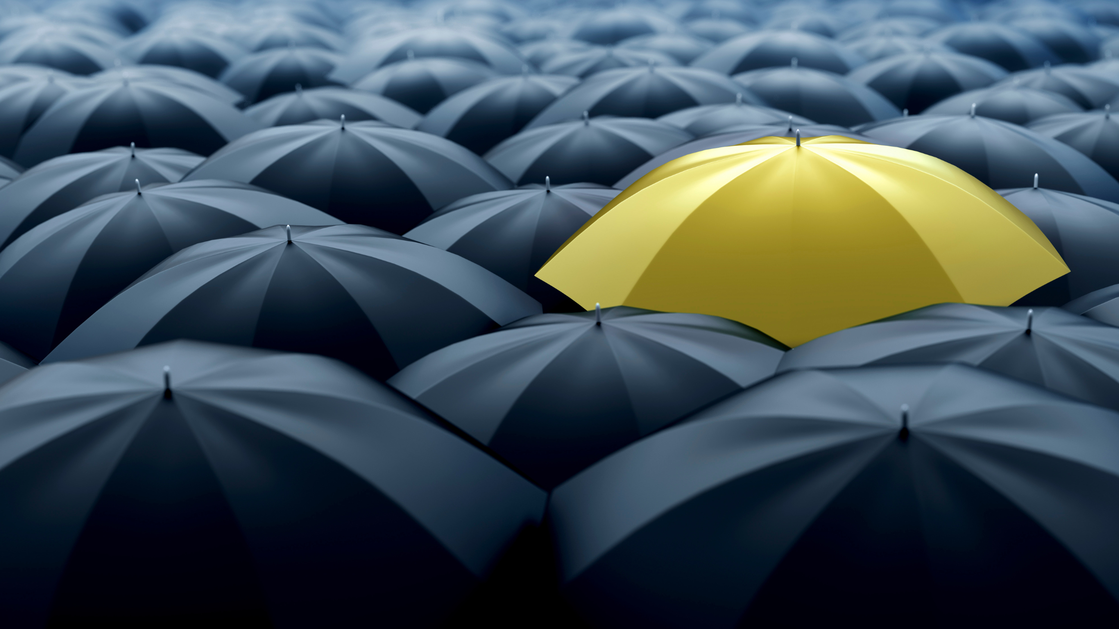 a yellow umbrella in a group of black umbrellas